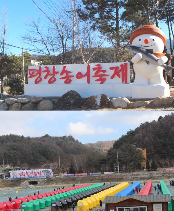 오랫만의 강추위로 평창송어축제의 송어얼음낚시터가 7일부터 완전개방됐다./사진=평창송어축제위원회 제공