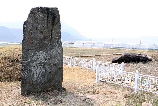 ▲<구산리선돌>울타리를하면서가까운곳에있는고인돌은외면했다.