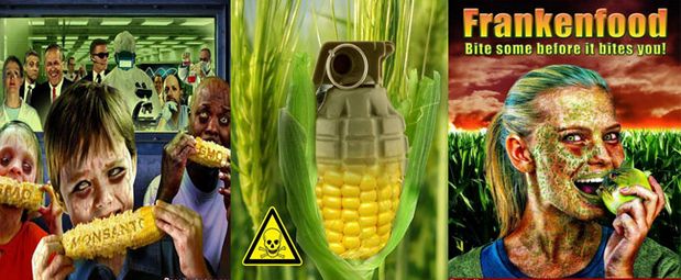 ▲왼쪽사진-GMO농산물을먹은어린애들의얼굴이이상하게변하는모습이변하고있음에도뒤쪽어른들은미소를짓고있다.오른쪽사진-한여성이GMO농산물을먹자얼굴에초록색빛으로변하고있다.