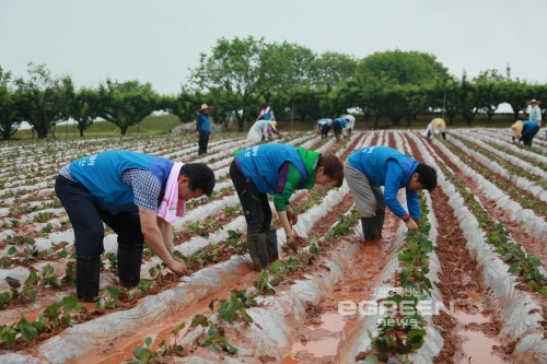 ▲한국전기안전공사(사장박철곤)가지난5월전북완주군이서면정농마을을찾아‘그린홈․그린타운봉사활동을펼치고있다.