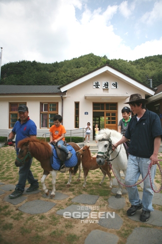 ▲분천역앞잔디밭의조랑말