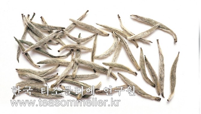 中황제에게 바친 백차 - 글로벌이코노믹