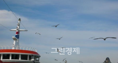 ▲무의도행선박과갈매기