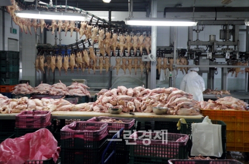 ▲지난10월17일국내대표적인닭‧오리가공업체인전남나주의㈜화인코리아가48년역사를끝으로사조그룹에매각돼'사조화인코리아'로회사명칭을바꾸고새롭게출발했다.사진은나주사조화인코리아오리가공시설.