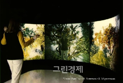 ▲크리스타소머러&로랑미노뇨작트랜스플랜트(TransPlant),1995