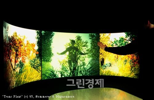 ▲크리스타소머러&로랑미노뇨작트랜스플랜트(TransPlant),1995