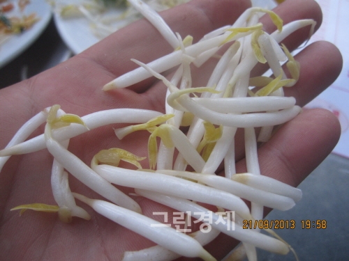 ▲두꺼운태국의숙주나물