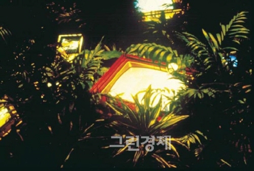 ▲백남준작TV정원TVGarden,1974▲백남준작TV정원TVGarden,1982