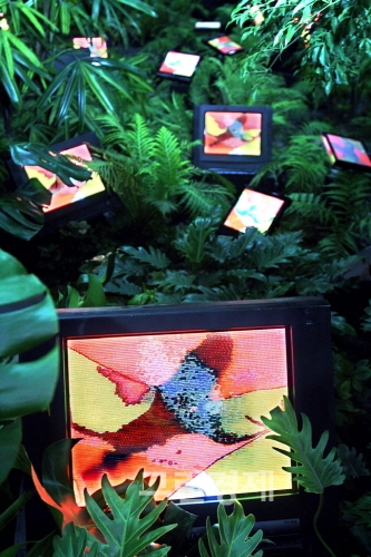 ▲백남준작TV정원TVGarden,2008