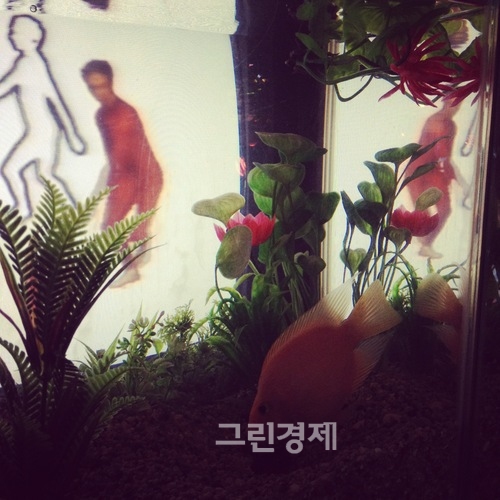 ▲백남준작TV물고기TVFish,1975▲백남준작TV물고기TVFish,2008