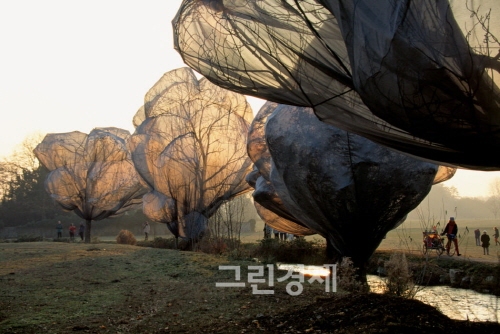 ▲크리스토&장클로드,포장된나무WrappedTrees,FondationBeyelerandBerowerPark,Riehen,Switzerland,1997-98,Photo:WolfgangVolz,ⓒ1998Christo