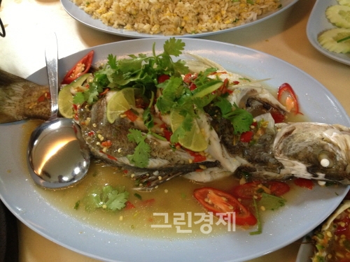 ▲빠능마나오