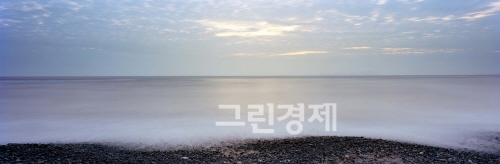 ▲엘니뇨등기상이변으로기후가바뀌고습지가사라지는등생태계가급격하게변하고있다.