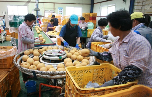 ▲이마트,추석선물세트배산지