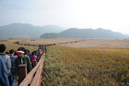 ▲가을축제대명사순천만갈대축제