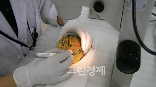 ▲문화재보존처리전문가가동합금으로된문화재의이물질을제거하고있다.
