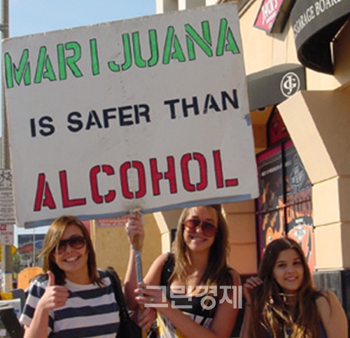 ▲미국의젊은여성들이'마리화나는술보다안전하다'고적힌피켓을들고마리화나합법화시위를벌이고있다.