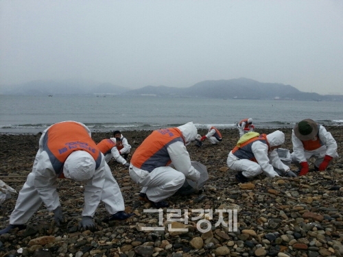 ▲한국전력공사직원들이여수앞바다기름유출사고때봉사활동을펼치고있다.