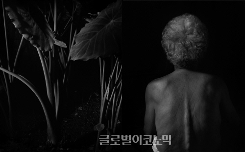 ▲장숙작늙은여자의집-1-06(좌),1-18(우),각100x125cm,2014