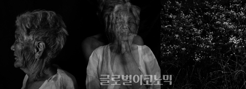 ▲장숙작늙은여자의집-1-02(좌),1-05(중),1-01(우),각각100x125cm,2014