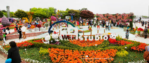 대한민국을 대표하는 국제적인 화훼 박람회로 성장한  '고양국제꽃박람회'는 '꽃과 평화, 신한류의 합창'을 주제로 열리며 17일간 고양시 호수공원에서 펼쳐진다./사진=고양국제꽃박람회 제공