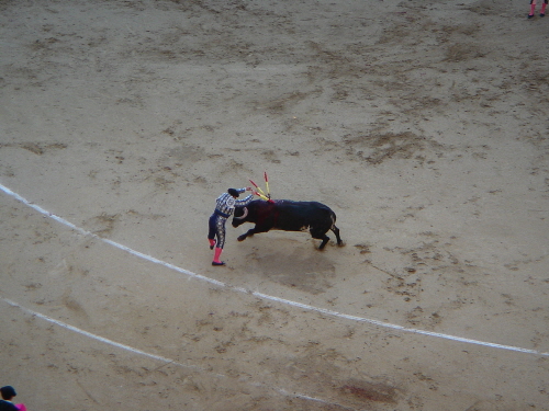 제국주의적 꿈을 키워준 스페인의 투우경기. 투우사가 소의 등에 칼을 꽂고 있다.