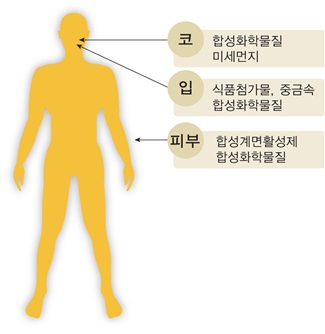 아토피 피부염 등의 주원인이 되는 독소가 인체로 유입되는 경로는 입, 코, 피부 3곳이다.