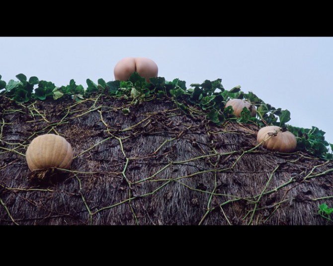 임일태 사진작가의 작품 '착각'