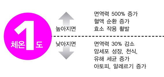 체온이 1℃ 올라가면 면역력은 5배 증가한다. 반면 체온이 낮아지면 면역력이 30% 감소하고, 아토피 등 질환이 증가한다.