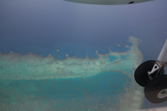 비행기 아래에서 내려다 본 피지의 산호군