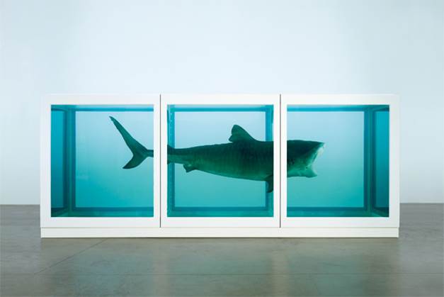 Damien Hirst 대표작 'Jumping the Shark'