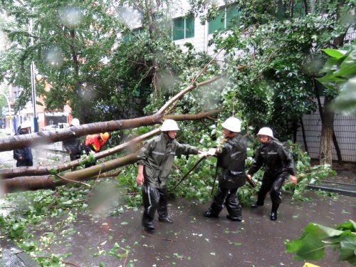 태풍 찬홈이 11일(현지시간) 중국 저장성에 접근해 길거리에 나무가 쓰러져있다. 중국 당국은 저장성 지역의 86만 5000명 이상을 안전한 곳으로 대피시켰다/ 사진=뉴시스 제공