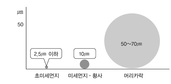 머리카락 굵기와 비교해 보면 초미세 먼지의 크기를 짐작해볼 수 있다. 초미세먼지는 아토피, 알레르기 비염, 천식을 유발하거나 악화시키는 원인이 된다. 