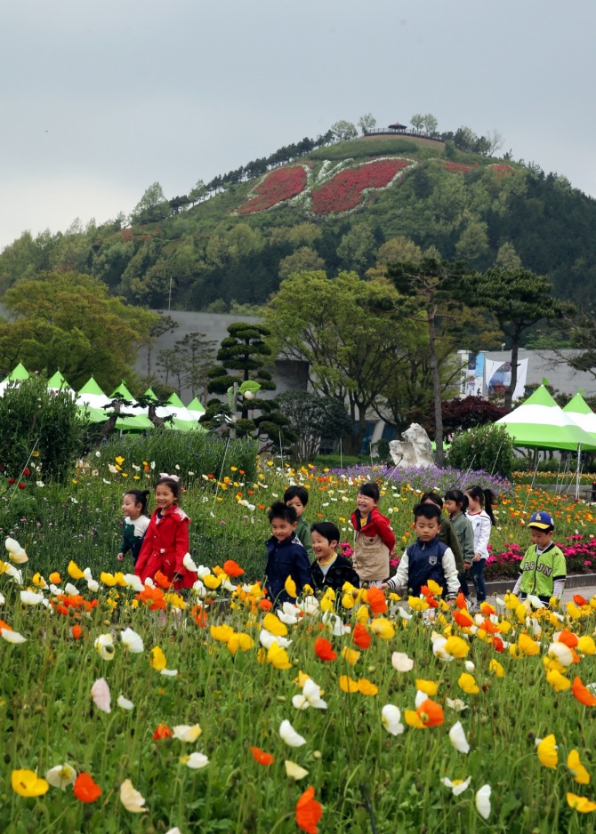전남 함평군 함평엑스포공원으로 봄소풍을 나온 어린이들이 나비동산을 배경으로 한 양귀비꽃밭을 지나가고 있다.
