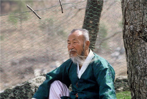 인산 김일훈선생은 급증하는 현대 난치병들의 근본 원인이 환경오염으로 인한 유해 독소에 있다고 보고, 그것을 제거하기 위한 방안으로 죽염(竹鹽)을 창안했다. 