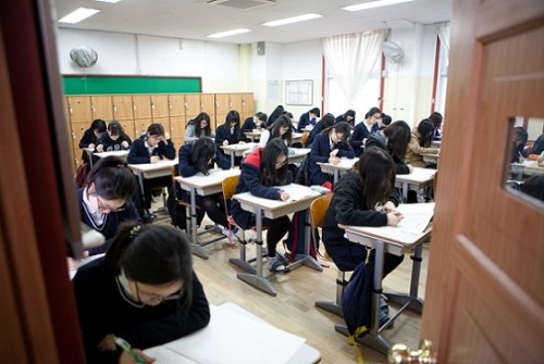사진=베리타스알파 제공