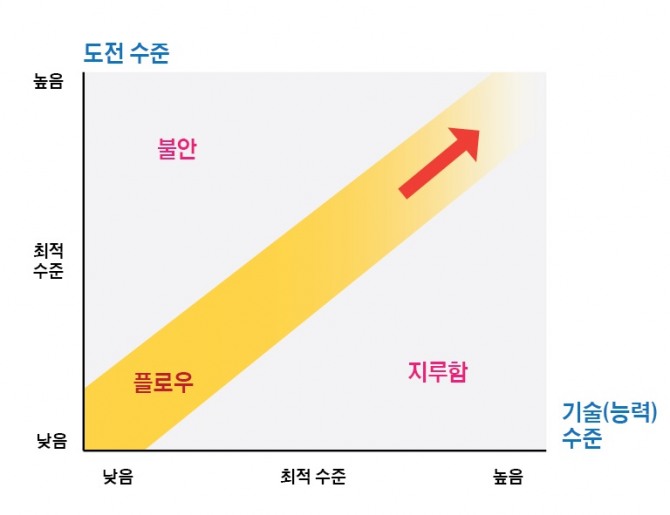 플로우 모형(칙센트미하이), 1975