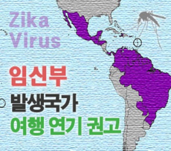 29일 질병관리본부에서는 최근 문제가 되고 있는 '지카바이러스에 대한 오해와 진실'이라 제목의 예방 자료를 배포했다./사진=질병관리본부 공식 홈페이지