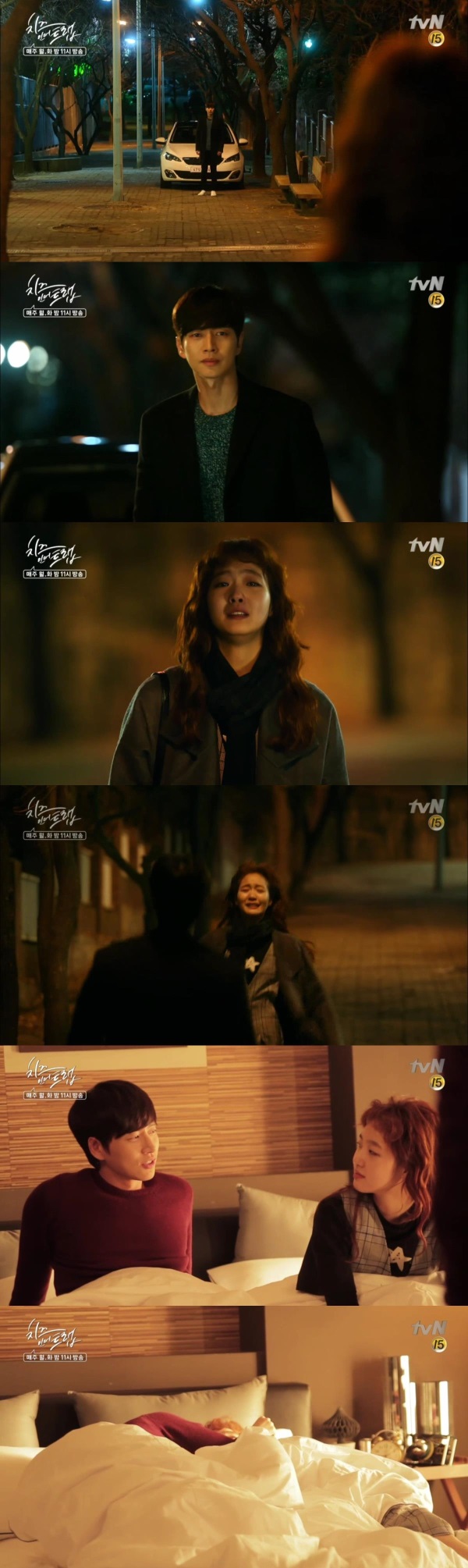 tvN 치즈인더트랩 11회에서는 시청자들이 손꼽아 기다리던 유정(박해진 분)과 홍설(김고은 분)의 베드신이 그려진다./사진=tvN 방송캡처