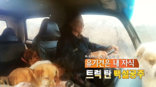 15일 방송되는  MBC '리얼스토리 눈'에서는 유기견 300여 마리를 돌보는 트럭탄 백설공주 정명숙씨의 두 번째 이야기가 그려진다./사진=MBC 방송 캡처