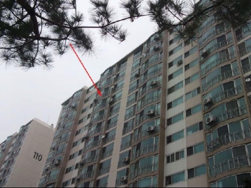 경기 안성시 공도읍 양기리 567 송정그린빌(사진=지지옥션 제공)