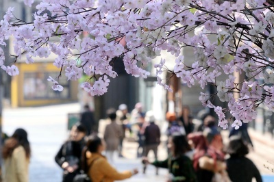 사진=뉴시스 제공