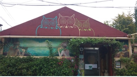 부엉이 박물관으로 가는 입구