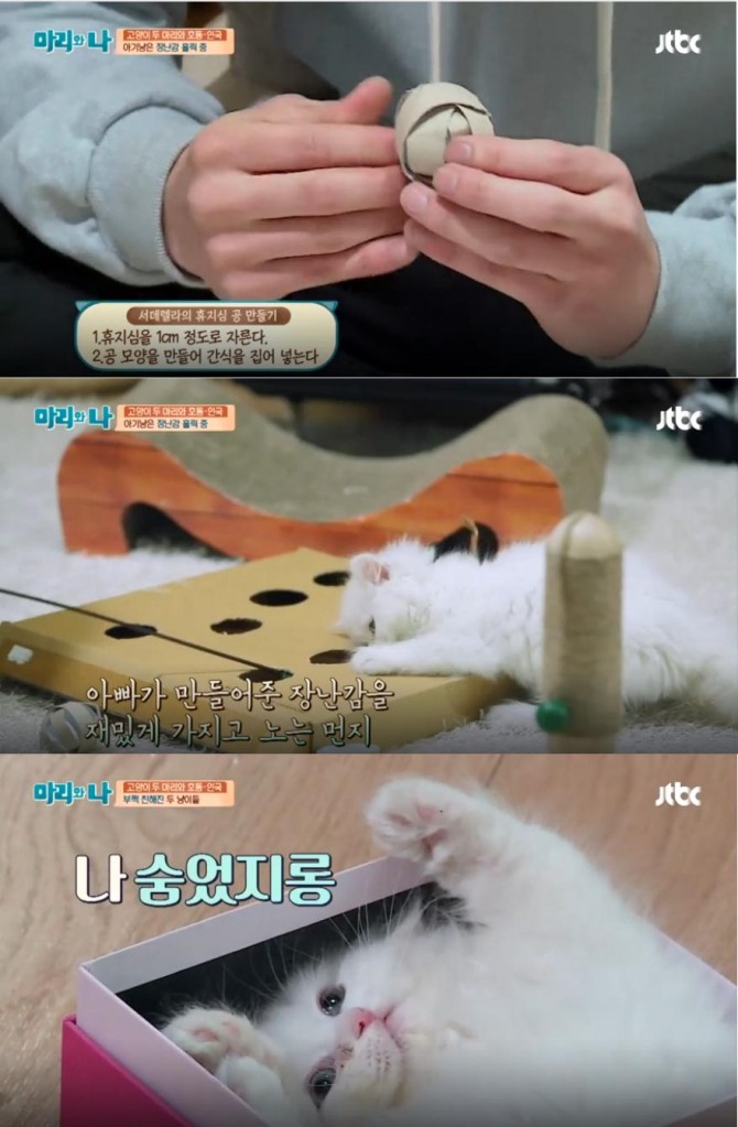 JTBC '마리와 나' 16회에서는 서인국과 강호동이 살찐 돼지냥 '호동이'와 귀염냥 '먼지'와의 두 번째 에피소드를 전했다./사진=JTBC 방송캡처