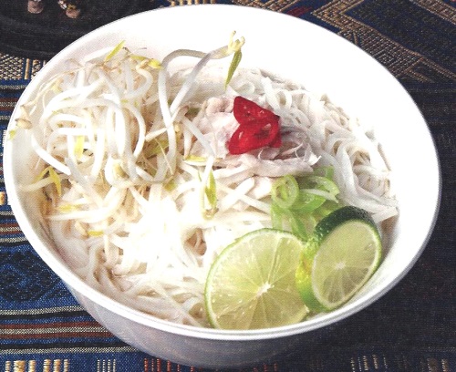 베트남 대표 음식 닭 쌀국수 포 가/사진=세계음식문화연구원 제공