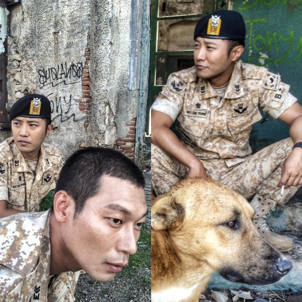 진구가 최근 자신의 SNS에 '태양의 후예' 알파팀의 최중사로 열연한 박훈의 사진을 올리면서 '이 개랑 너무 닮았다'는 글을 달아서 화제를 모았다./사진= 진구 인스타그램 캡처  