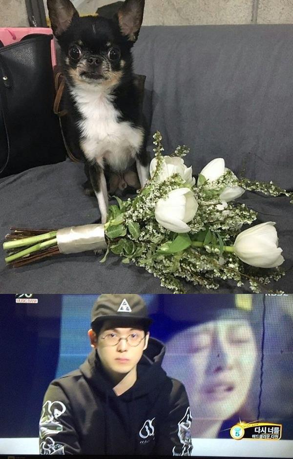 래퍼 매드 클라운(조동림)이 15일 여의도 모처에서 일반인 여자친구와 비공개 결혼식을 올린다. 위의 강아지와 꽃다발 사진은 지난 5월초 매드 클라운이 결혼소식을 알리면서 자신의 SNS에 올린 것이다./사진=인스타그램 캡처