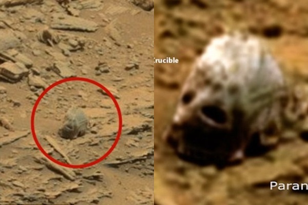 화성에서 발견된 빅풋의 머리(?). 사진=패러노멀 크루서블