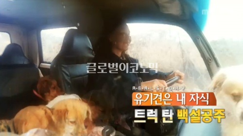 유기견 300 마리를 키우는 백설공주 정명숙씨의 세 번째 이야기가 13일 밤 MBC '리얼스토리 눈'을 통해 방송된다./사진=MBC 방송 캡처(자료 사진)
