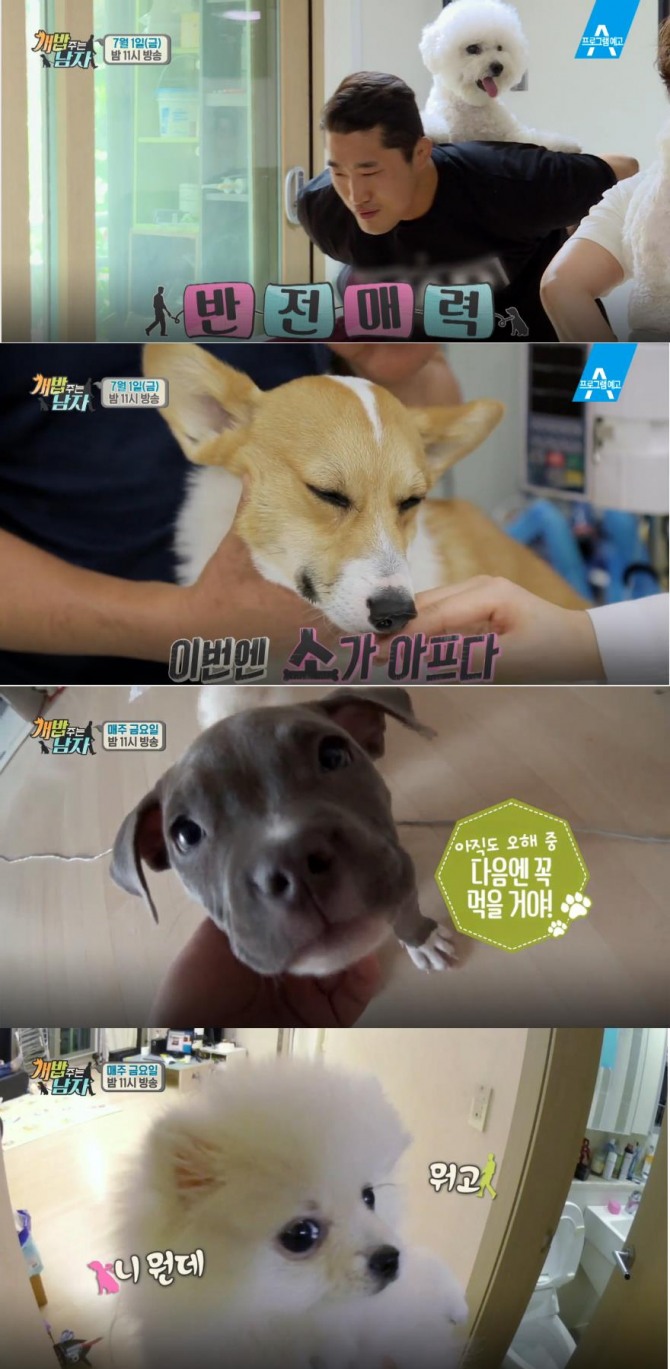 사진=채널A 방송캡처